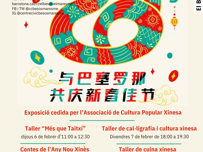 Taller de caligrafa y cultura china (271)