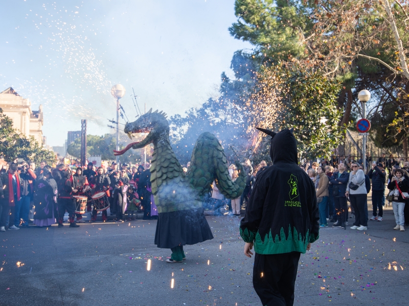 Crida a la participació 2026